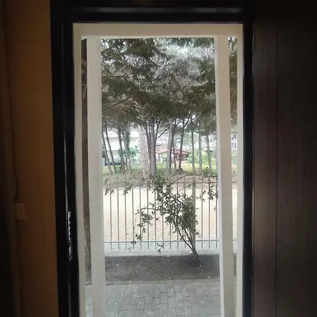 Edi Murrizi Golem (Tirana)
